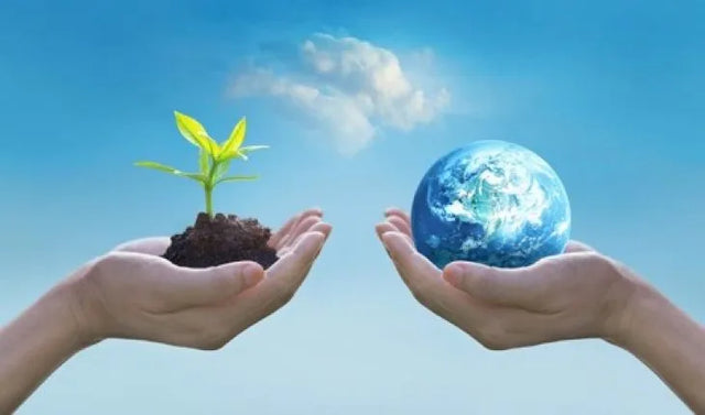 Can Plastic Waste Be Upcycled Easily? An Honest Answer