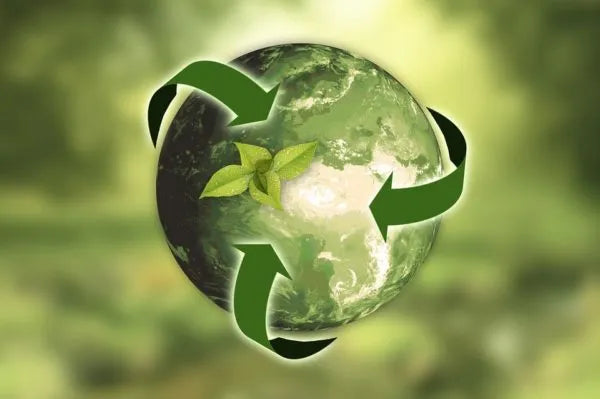 Reuse or Recycle? A Small Business Guide to Packaging Waste
